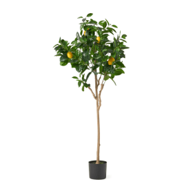 150CM ARTIFICIAL LEMON TREE (Option: Green)